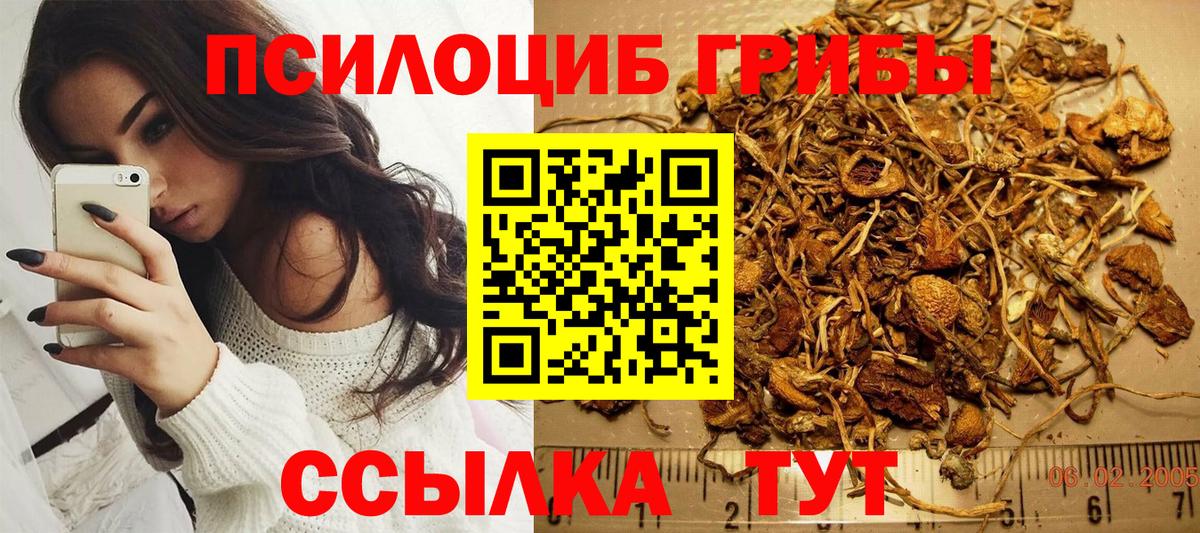 Новочеркасск  Галлюциногенные грибы Psilocybine cubensis  купить  цена  Вход с VPN 